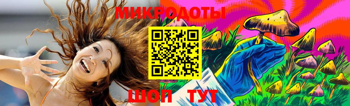 Галлюциногенные грибы Psilocybe Великие Луки