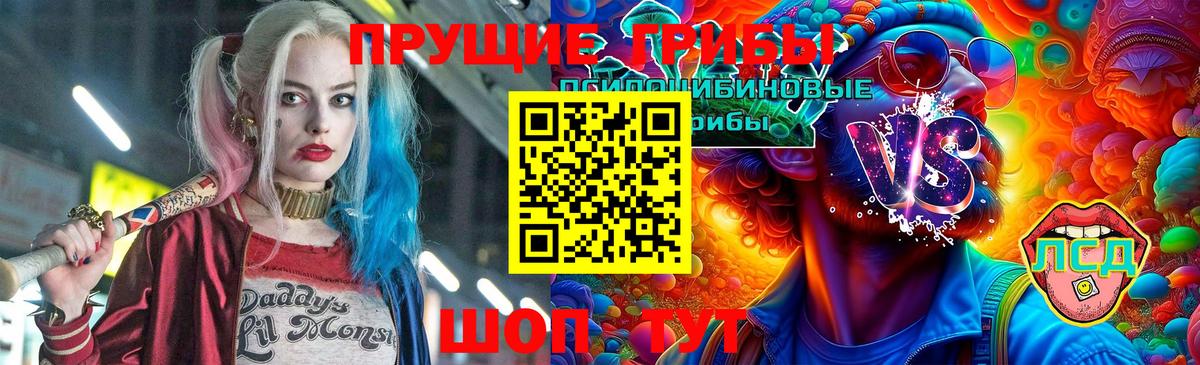где можно купить   Галлюциногенные грибы мицелий  Вход с VPN  Великие Луки 